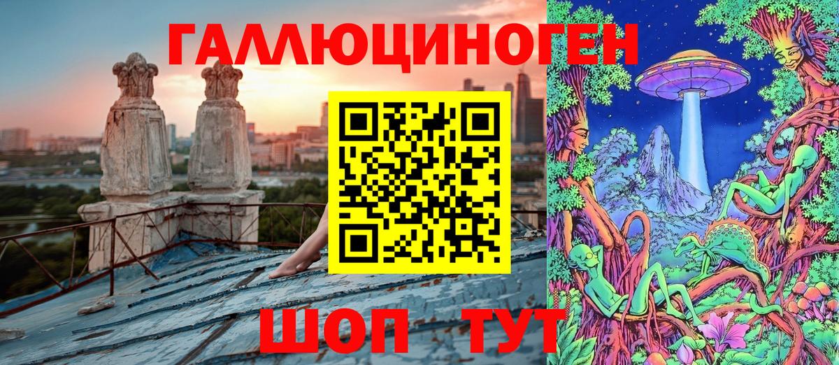 Галлюциногенные грибы Psilocybe Рыбинск