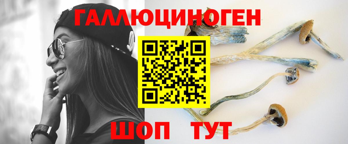 Рыбинск  Псилоцибиновые грибы прущие грибы  Вход с VPN 